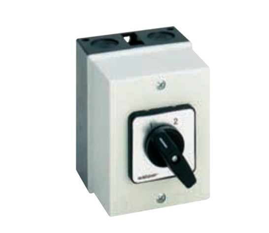 Saelzer M220-61038-076M1 Enclosed Switches